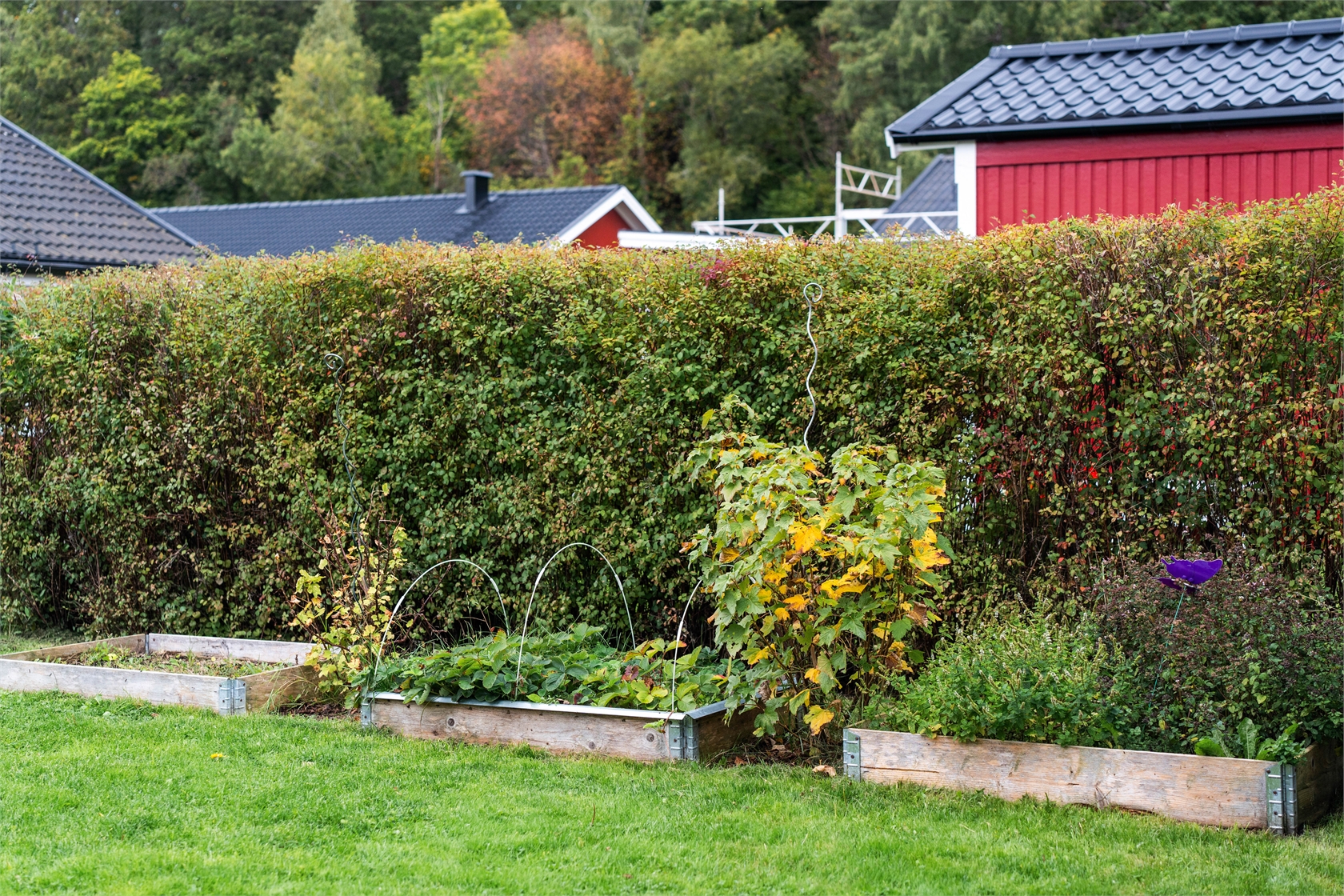 På gång – bild 31