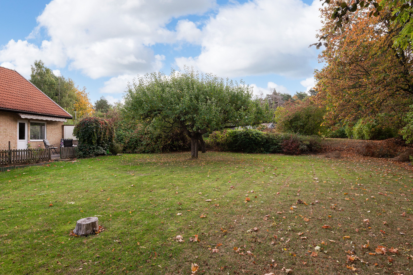 tors 15/10 – bild 23