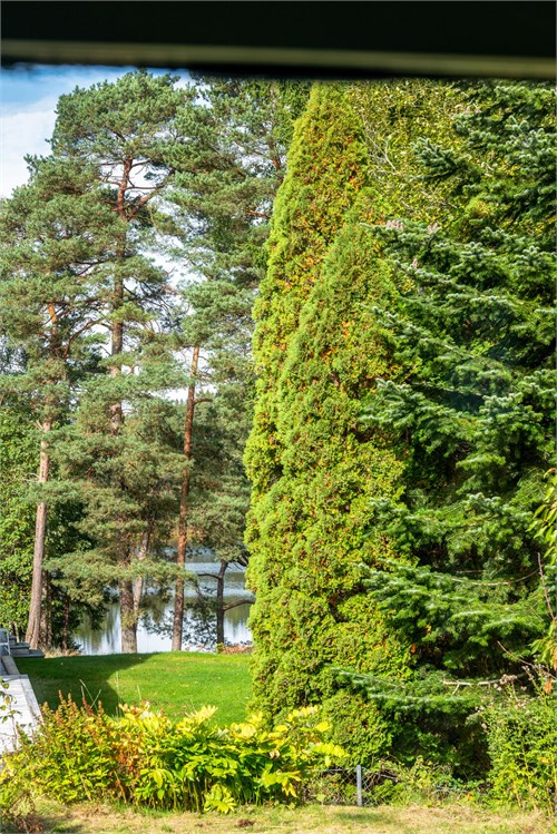 Utsikt från vardagsrumsfönstret