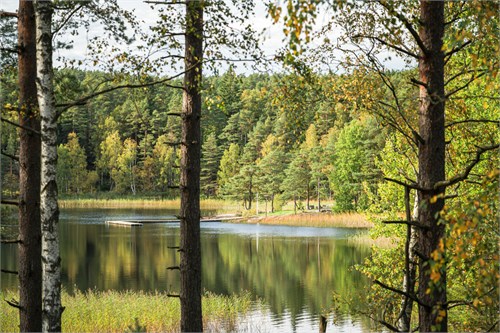 Djursjövägen 35