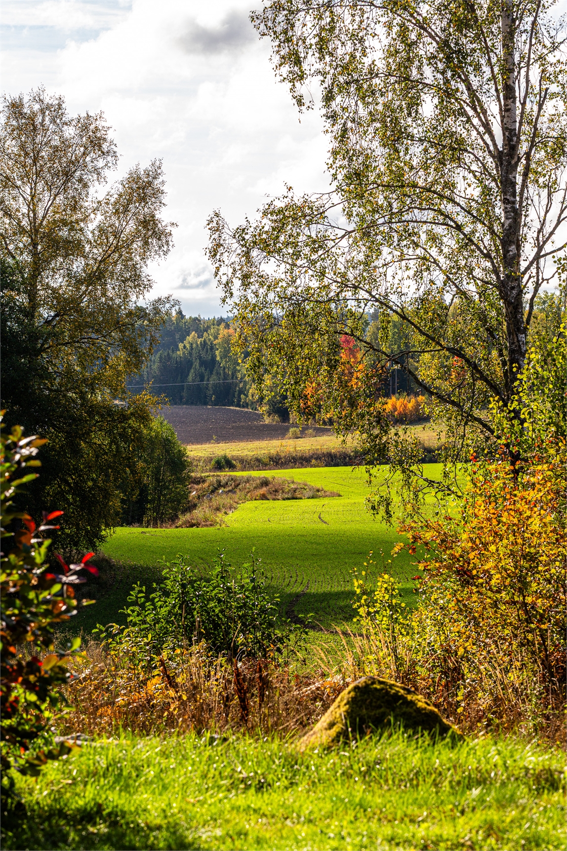 Se fler – bild 41
