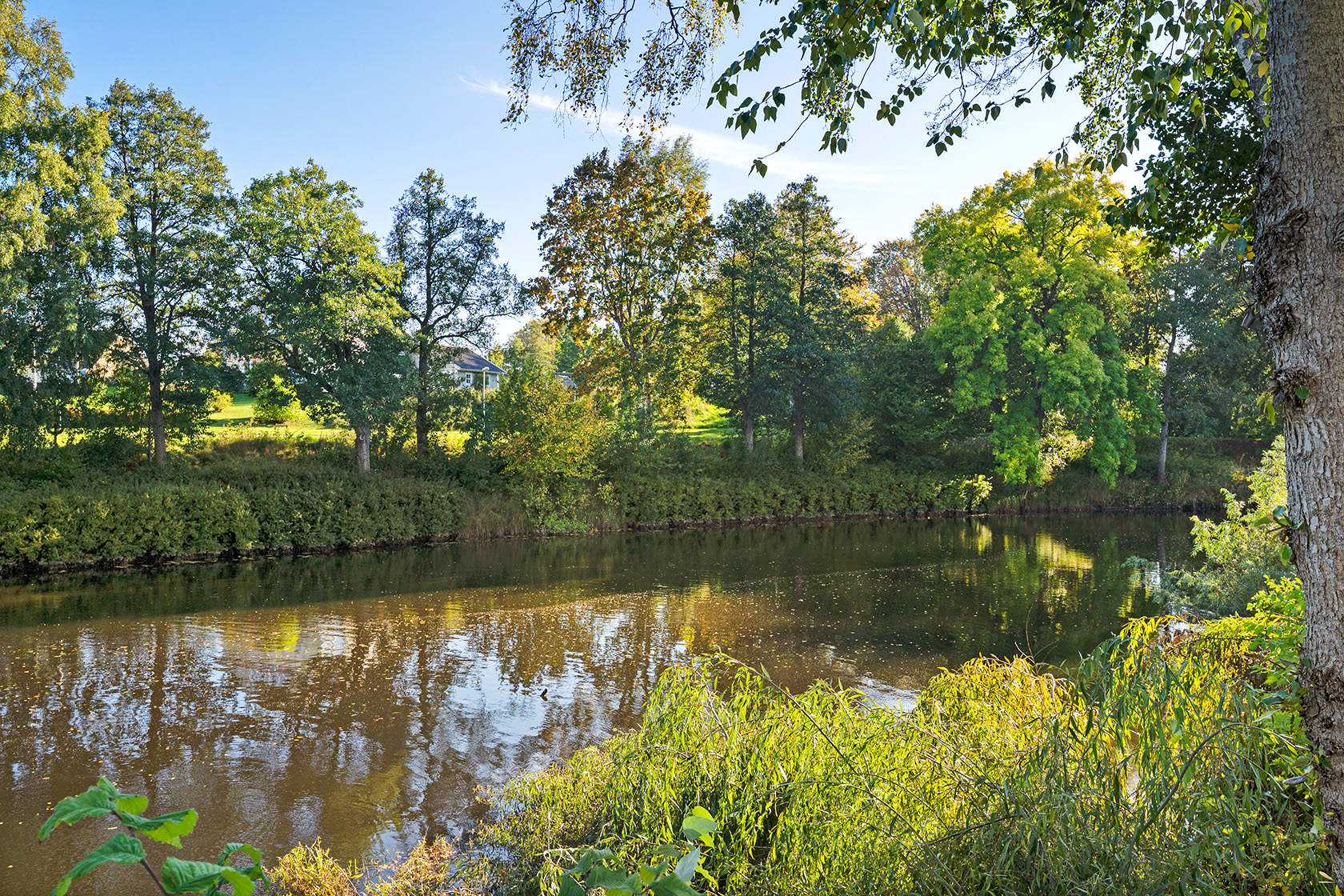 tors 15/10 – bild 7