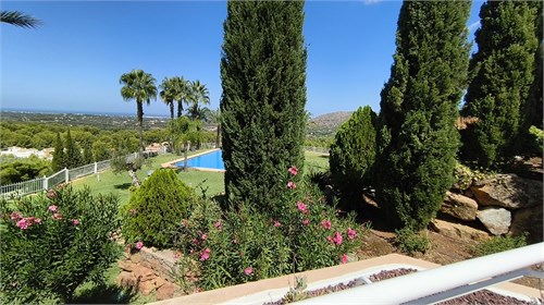 Pedreguer | Costa Blanca