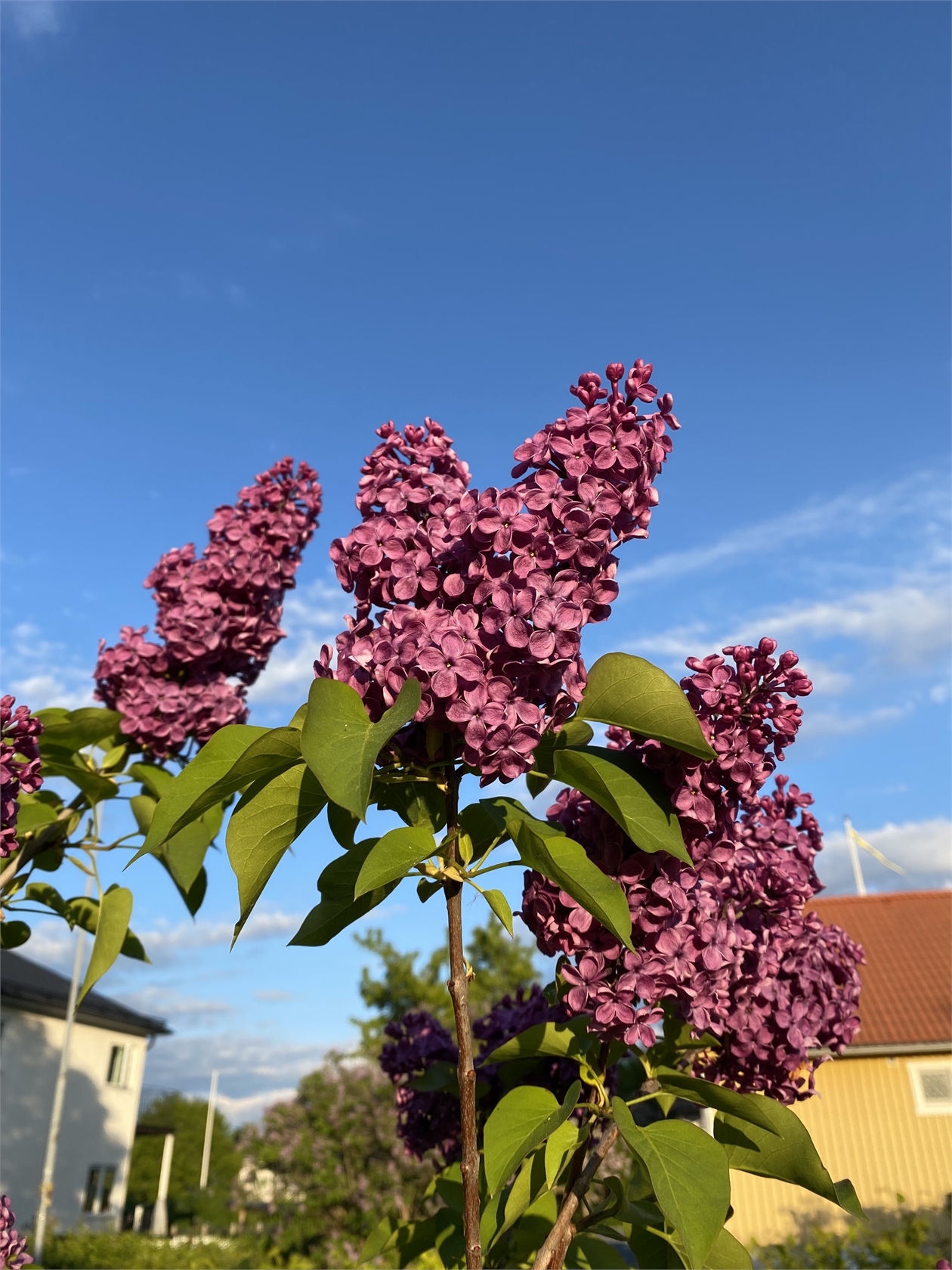 På gång – bild 64