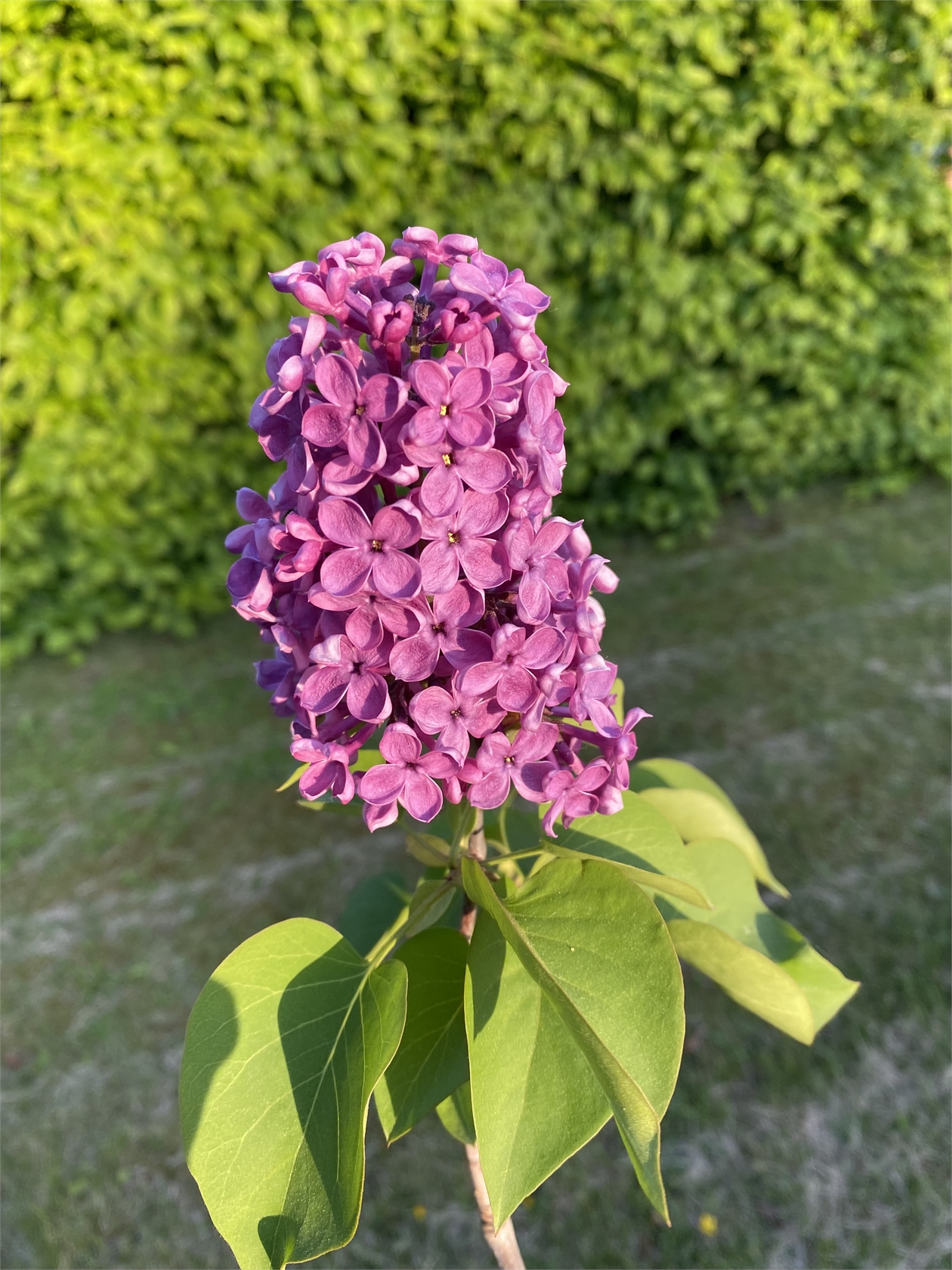 På gång – bild 59