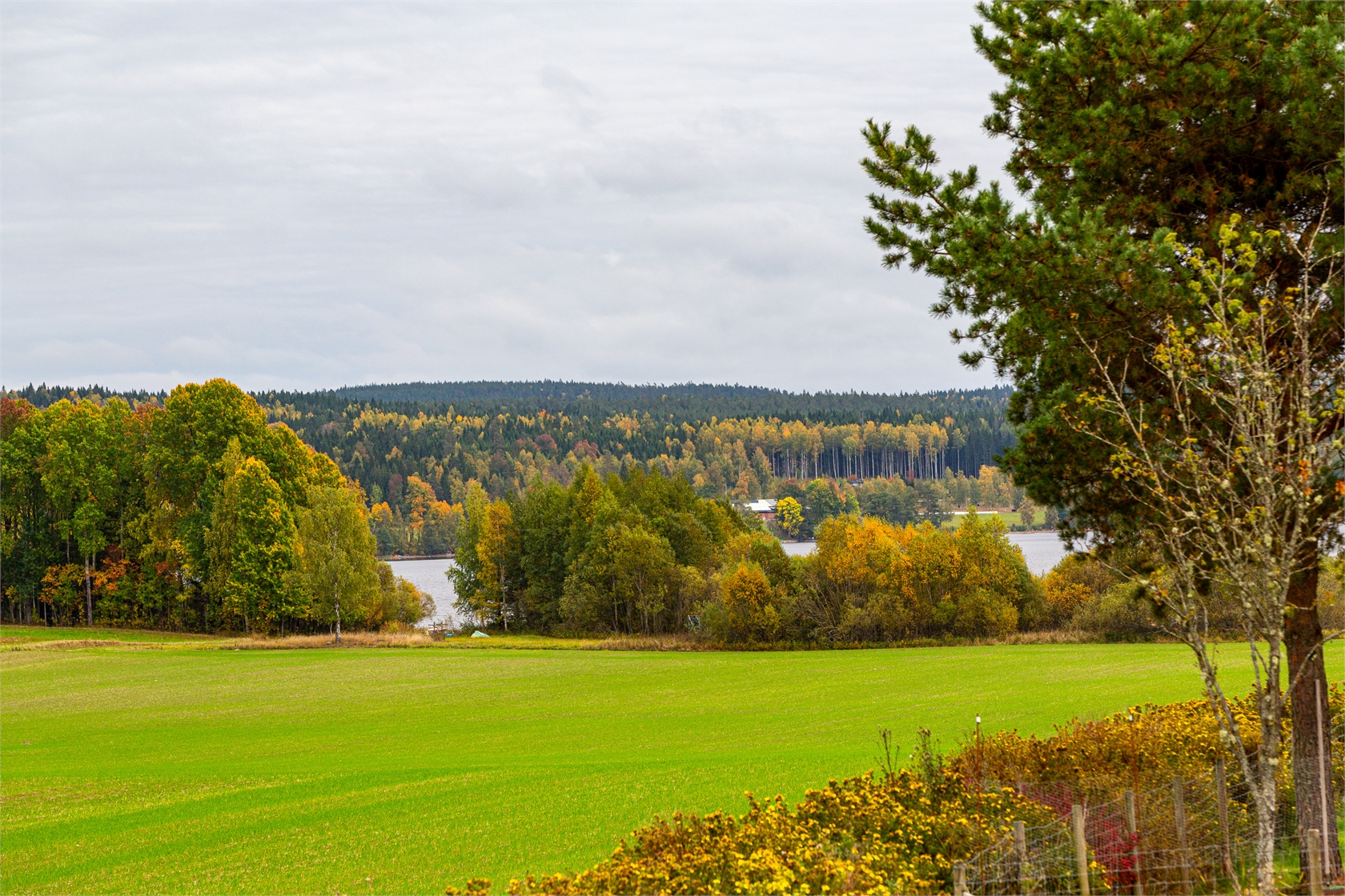 På gång – bild 32