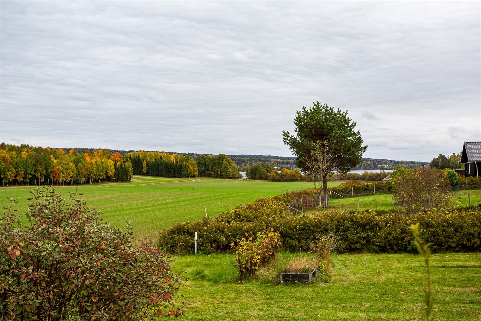 På gång – bild 2