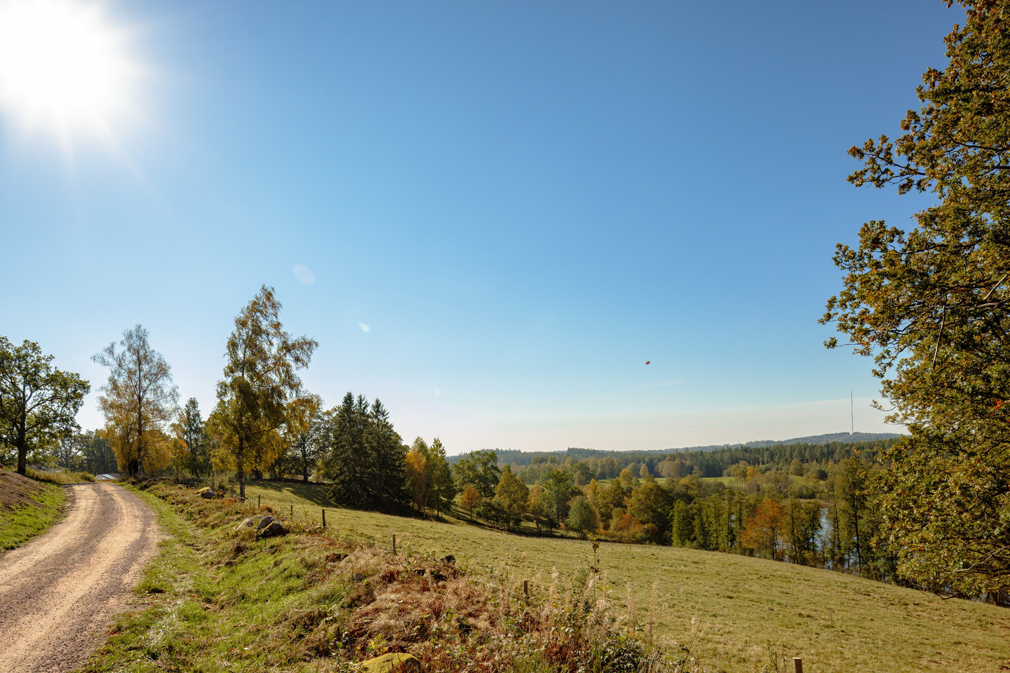 tors 22/10 – bild 38
