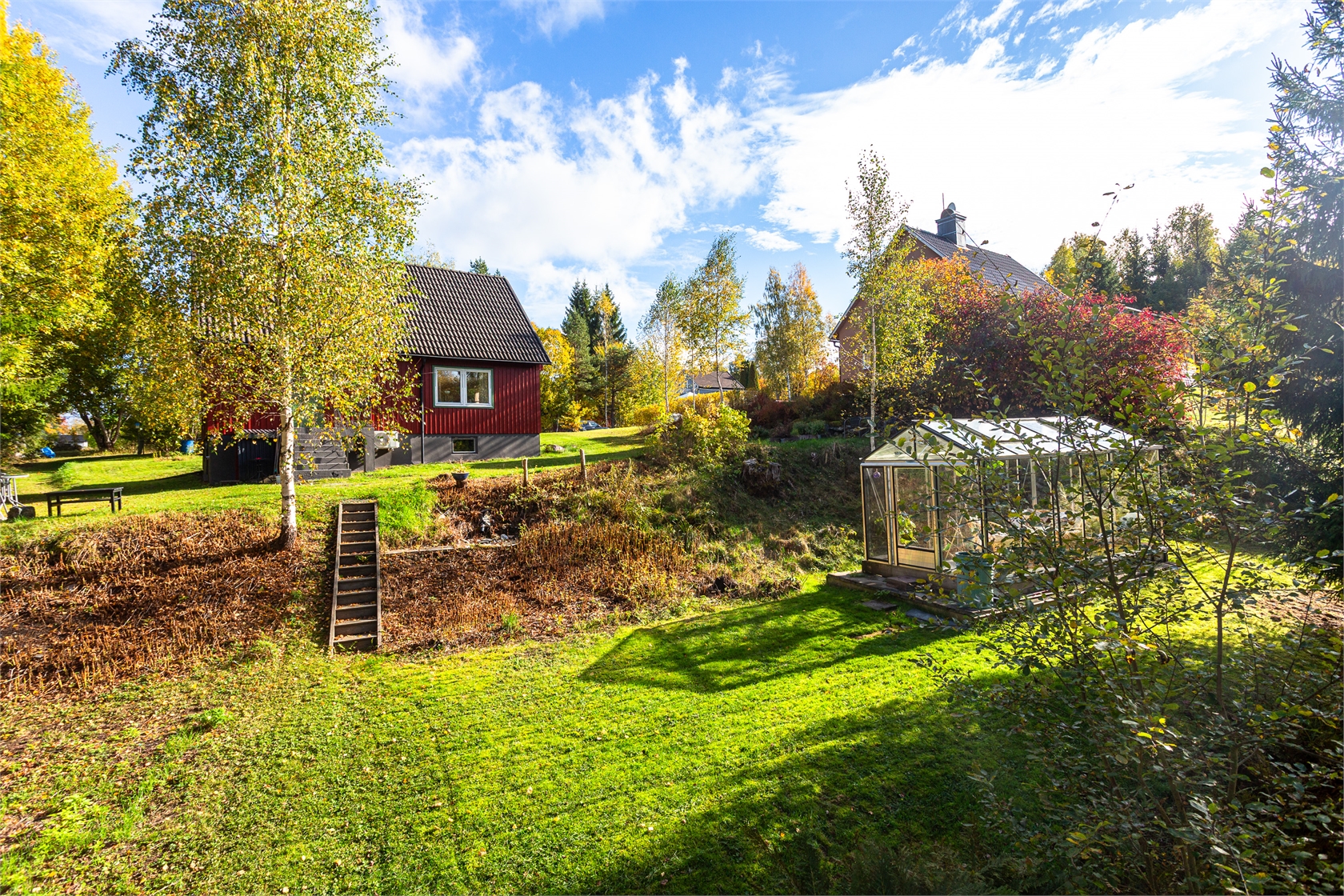 lör 24/10 – bild 2