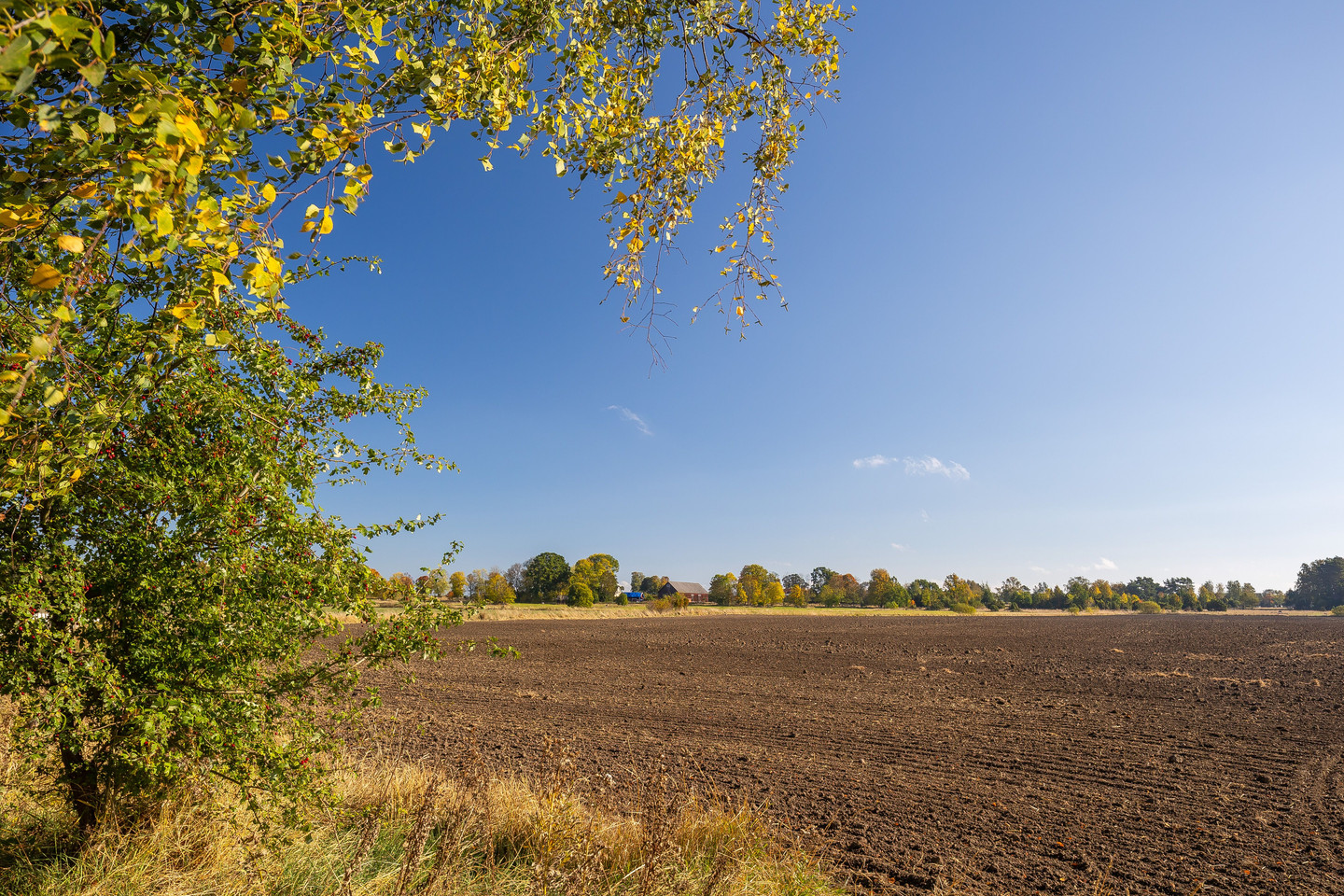 Se fler – bild 4