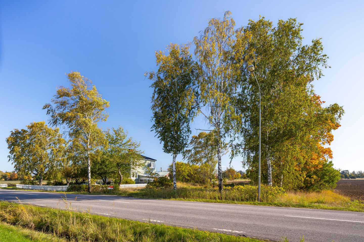 Se fler – bild 5