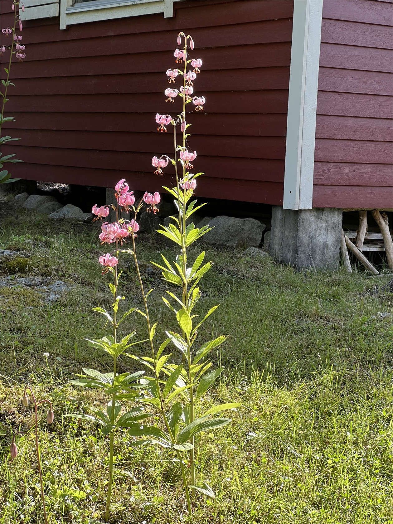 På gång – bild 20