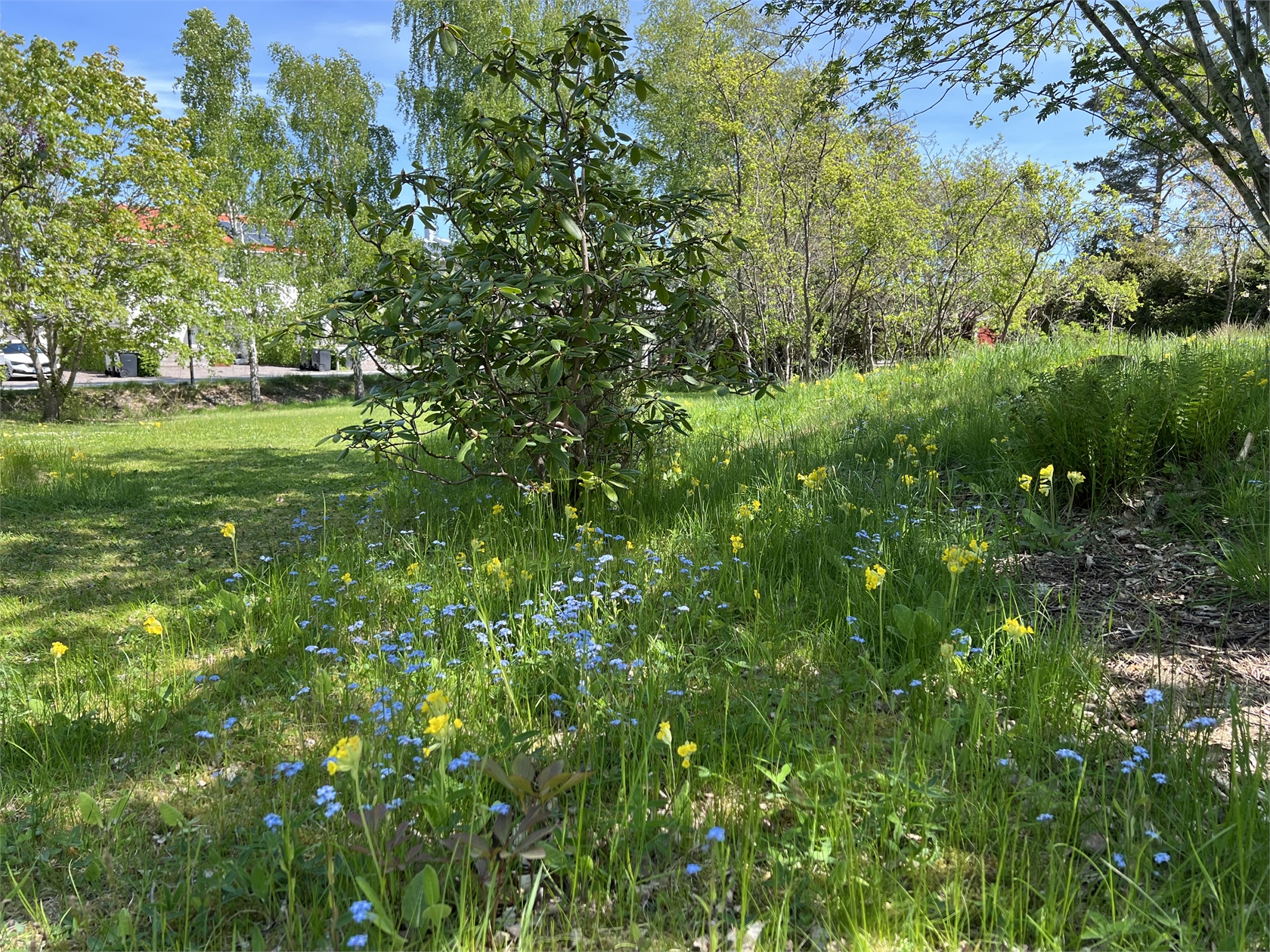 På gång – bild 27