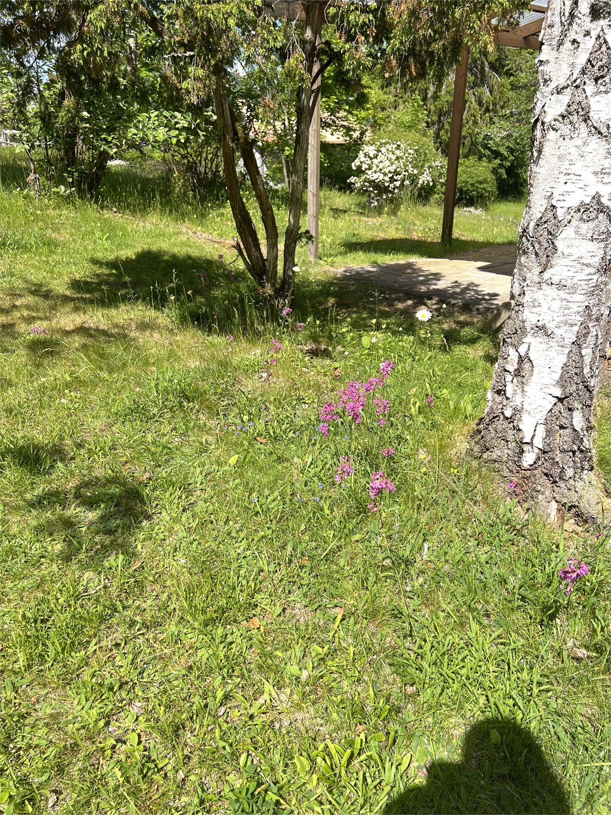 På gång – bild 29