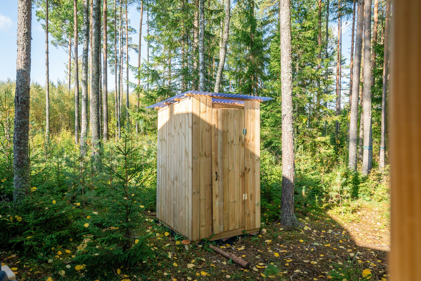 Se fler – bild 44