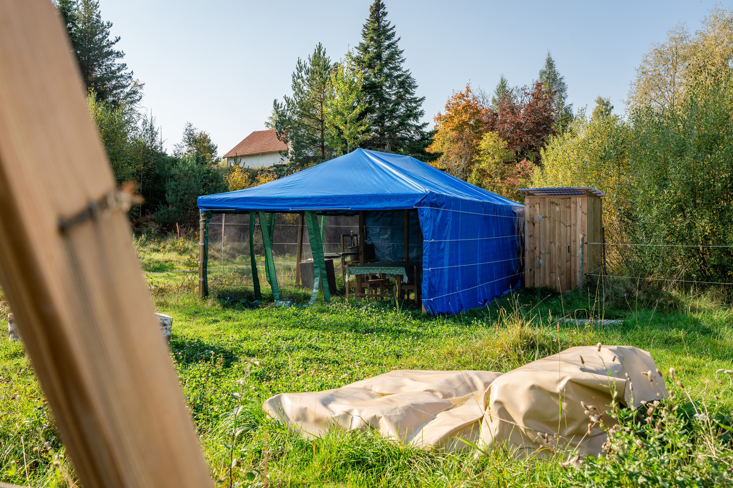 Se fler – bild 56
