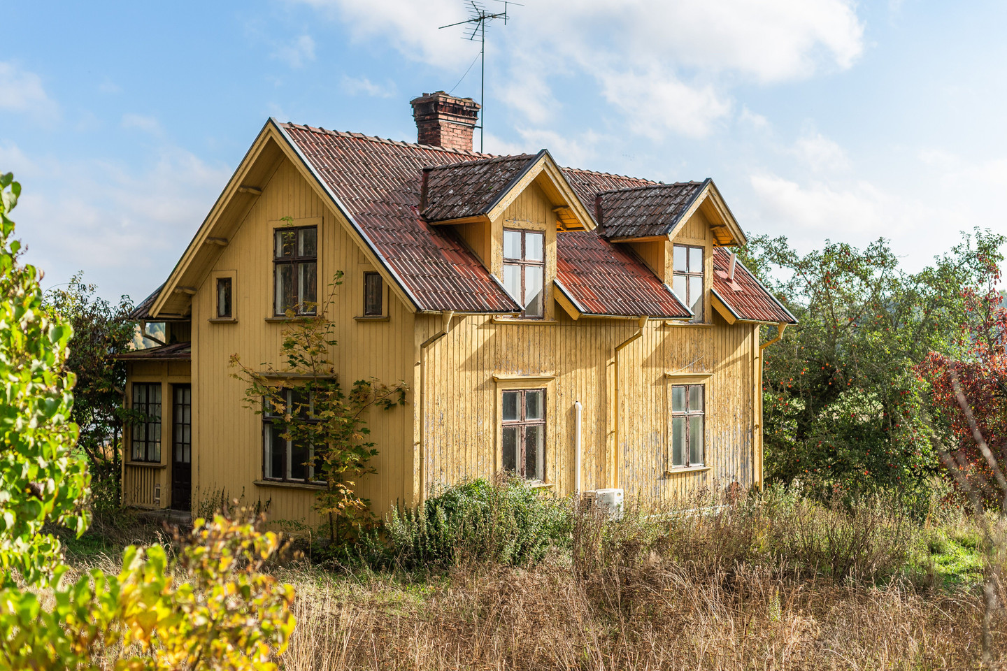 tors 5/11 – bild 27