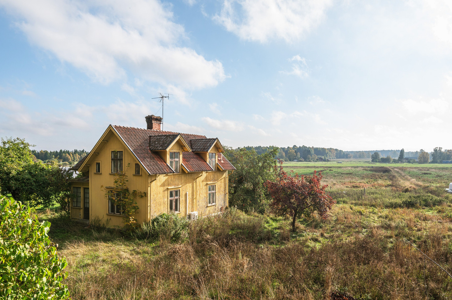 tors 5/11 – bild 28