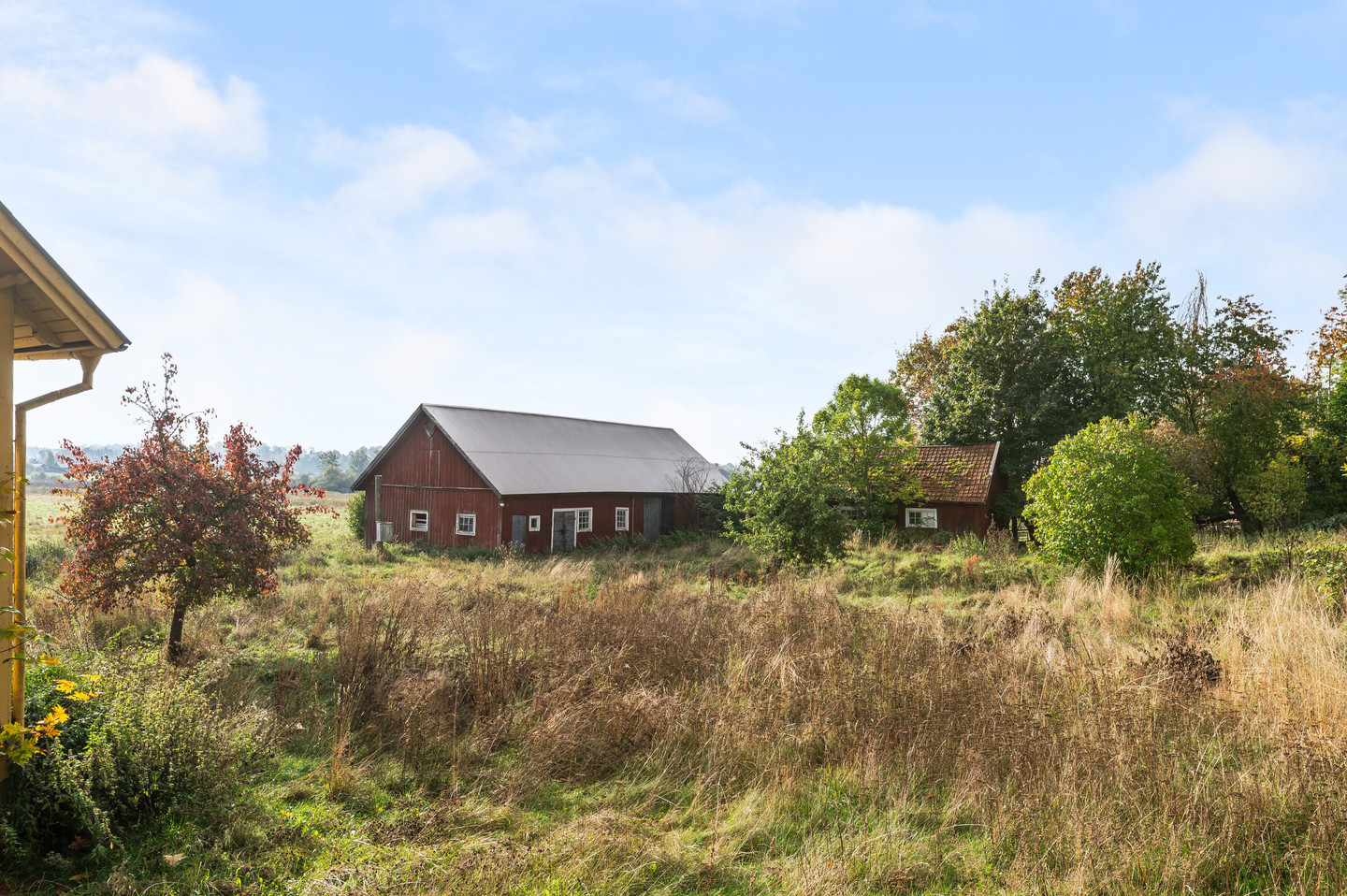 tors 5/11 – bild 3