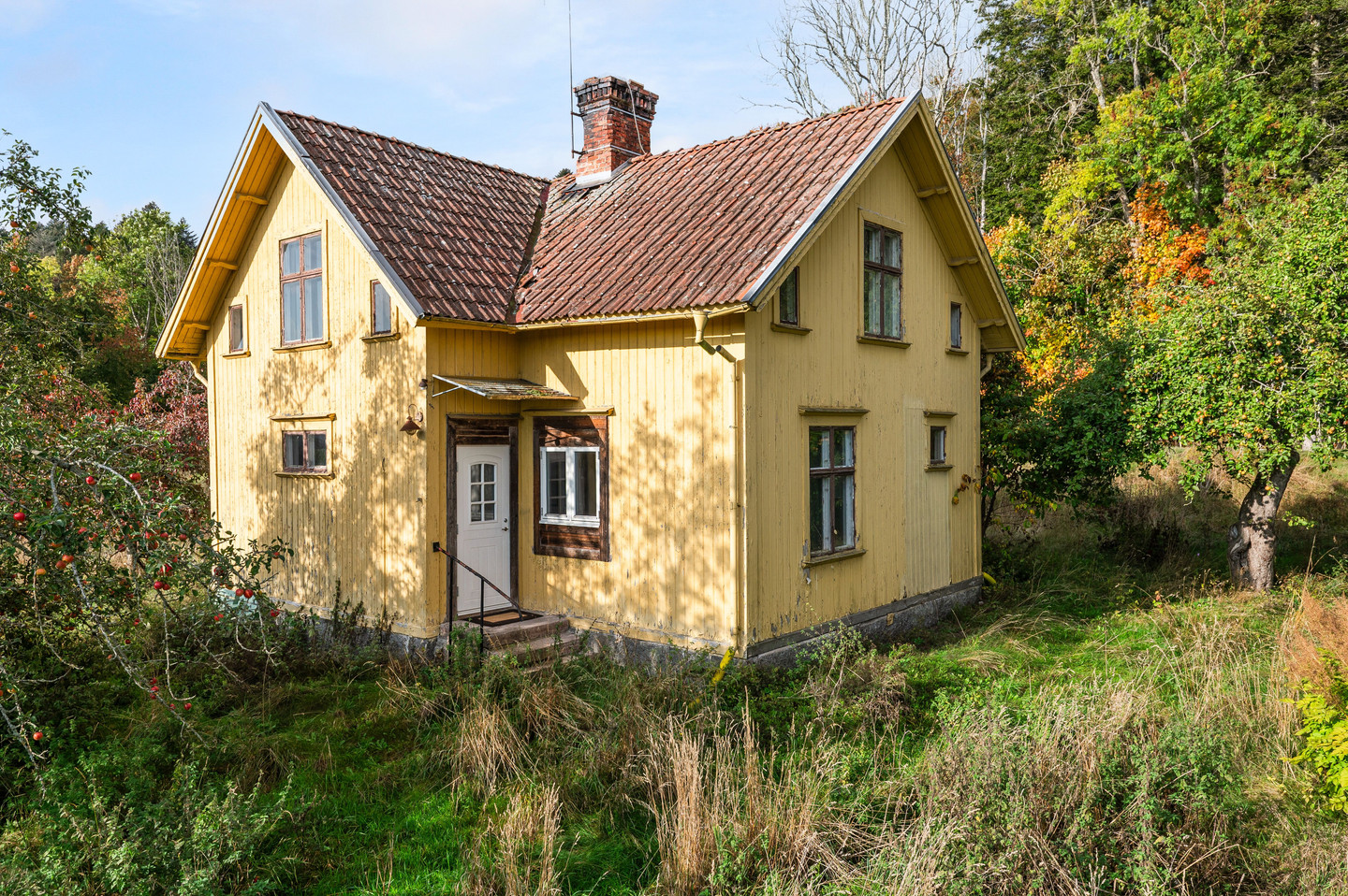 tors 5/11 – bild 29