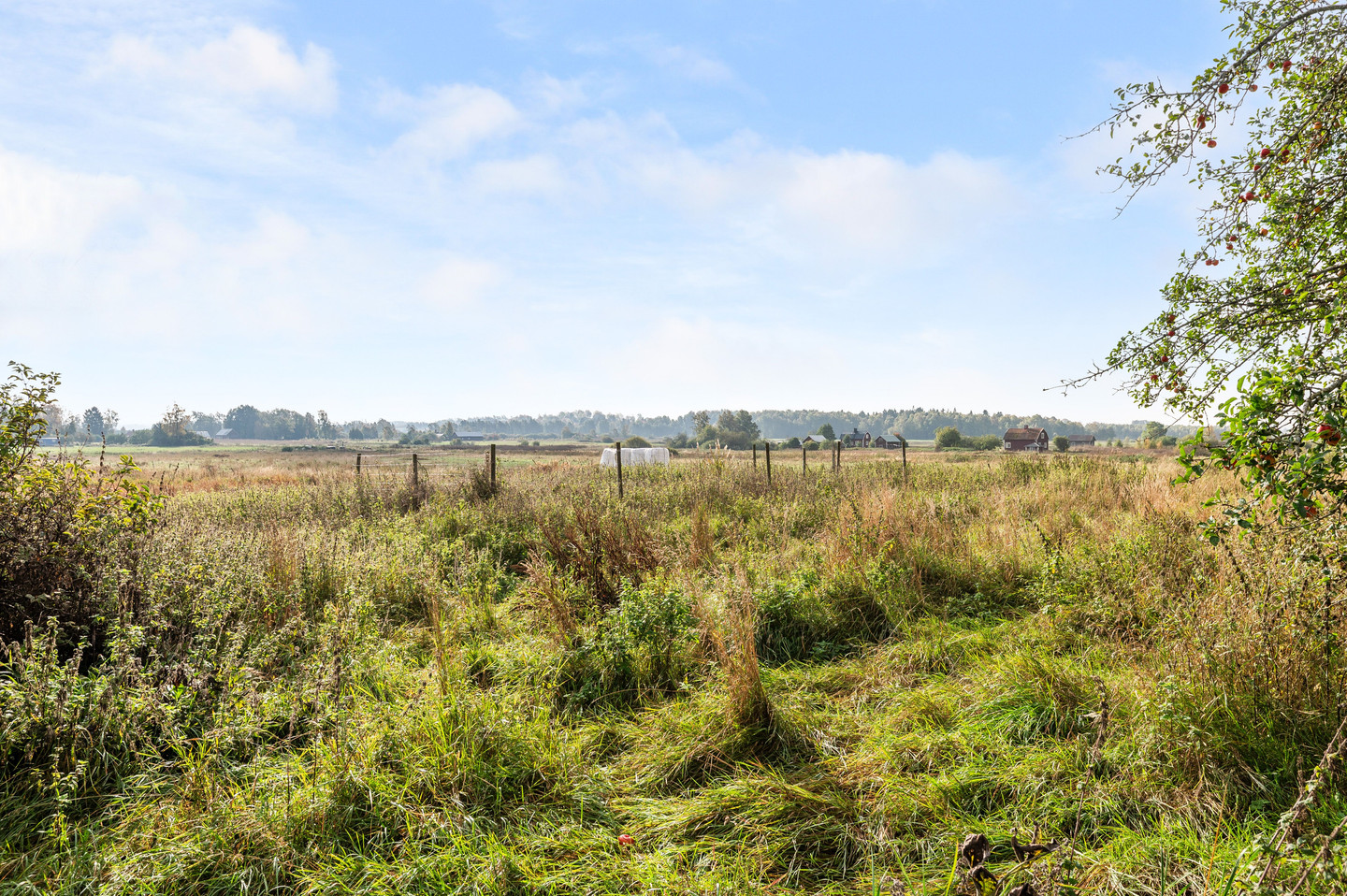 tors 5/11 – bild 35