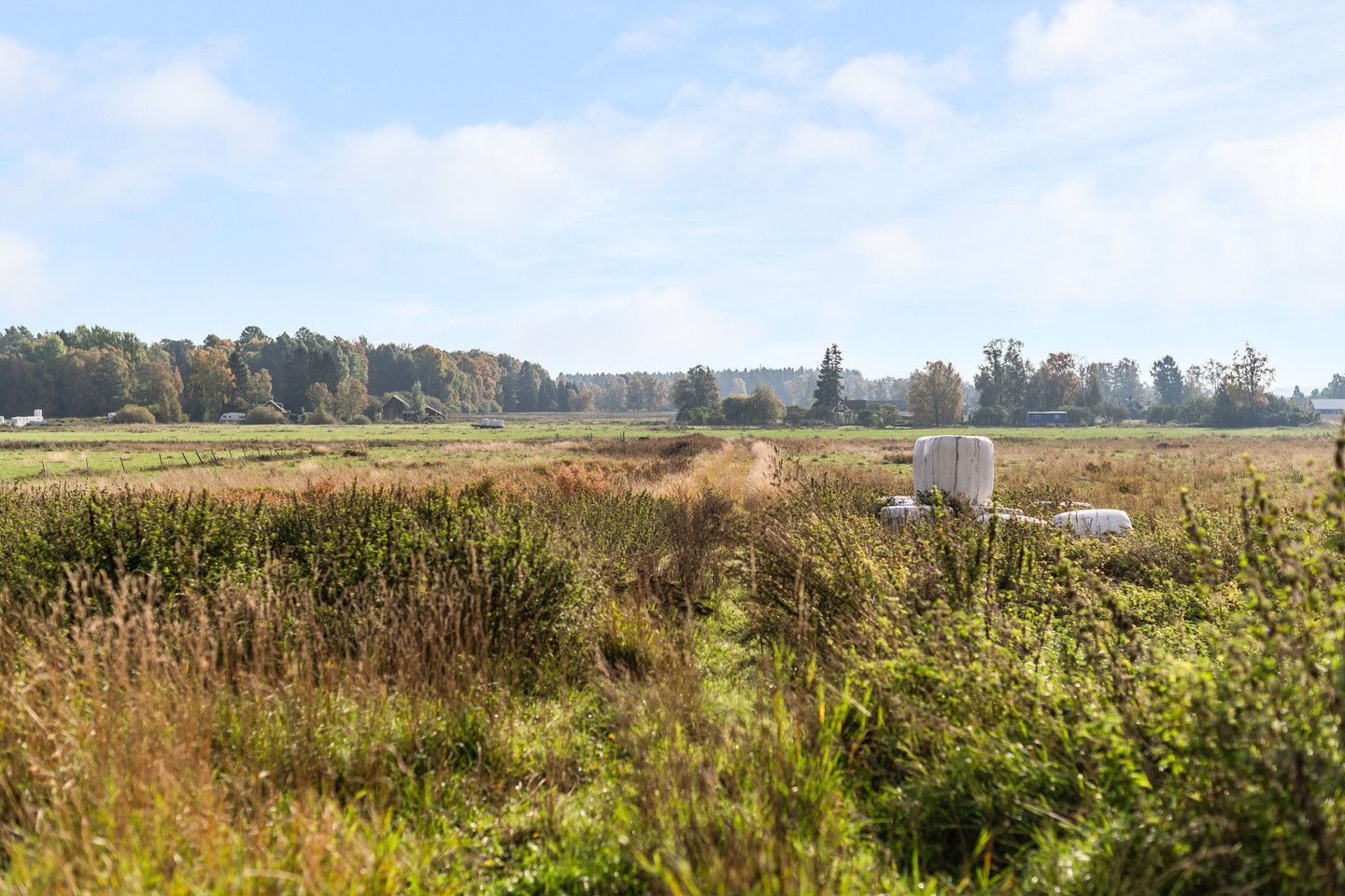 tors 5/11 – bild 36