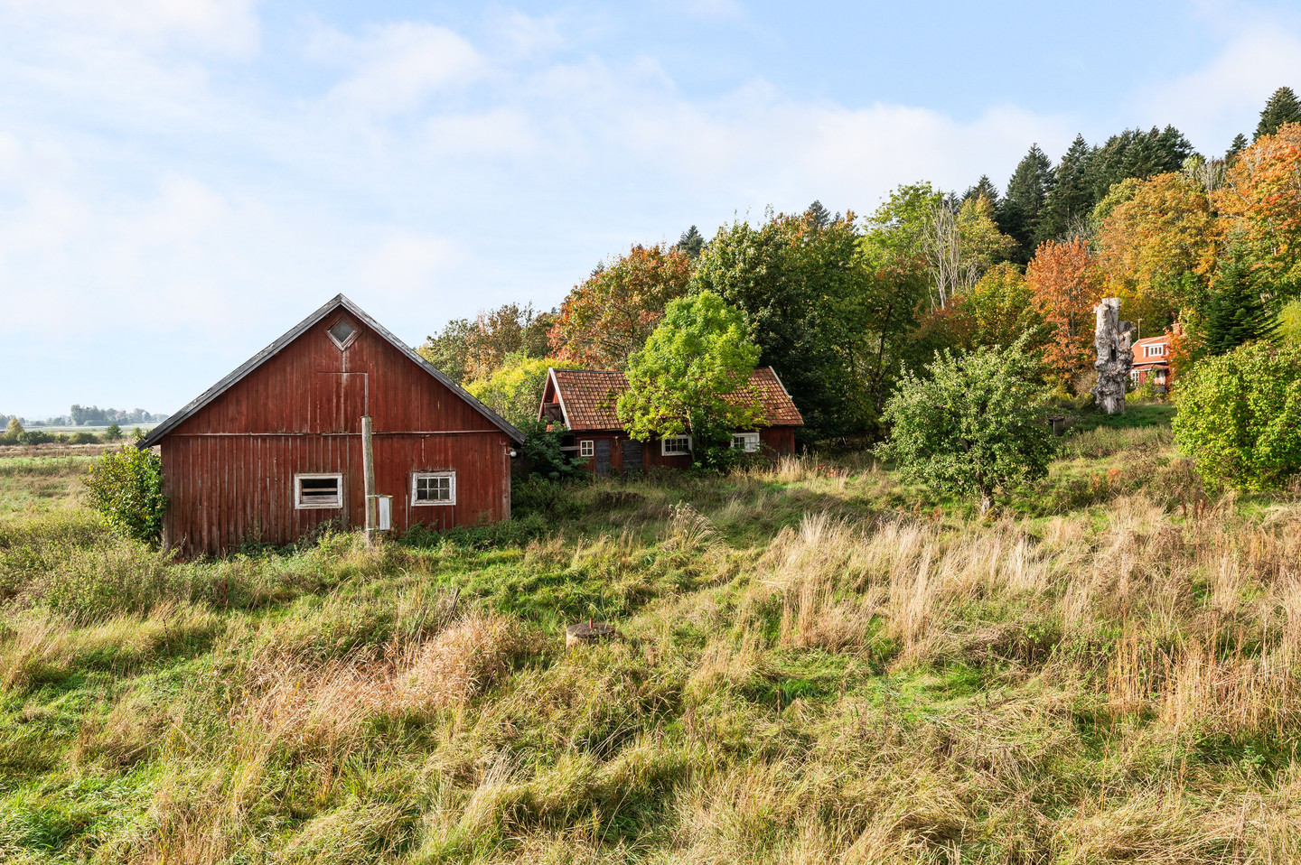 tors 5/11 – bild 30