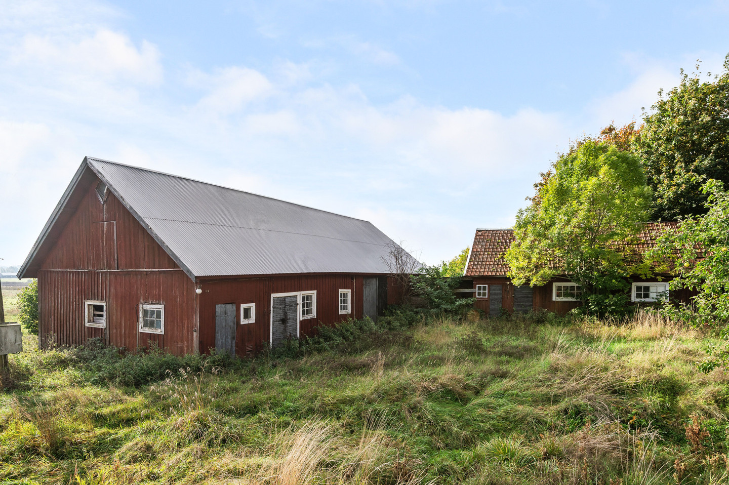 tors 5/11 – bild 31