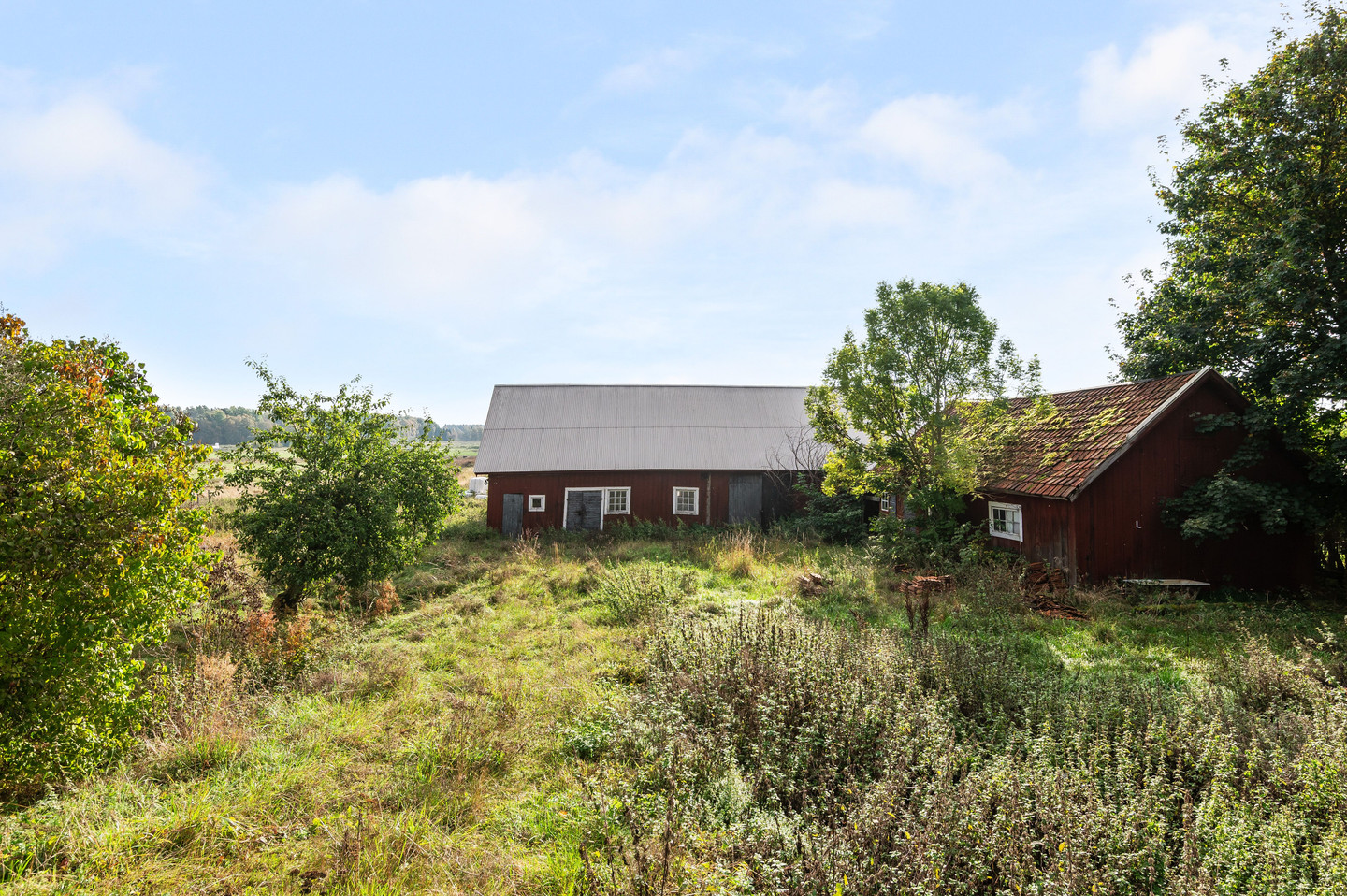 tors 5/11 – bild 32