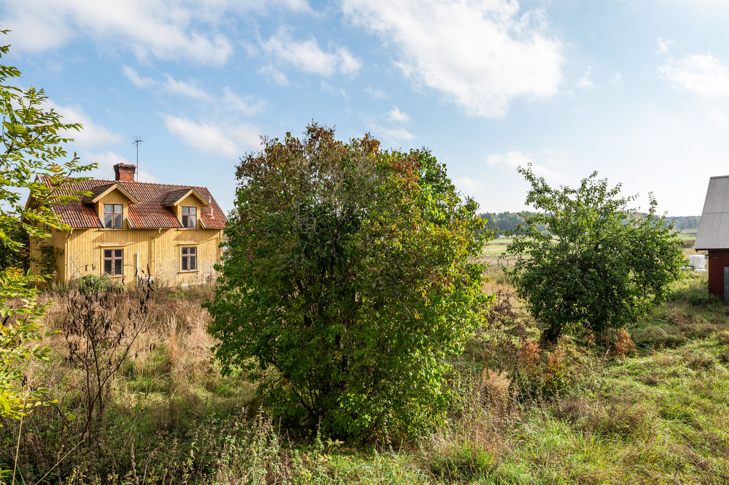 tors 5/11 – bild 38