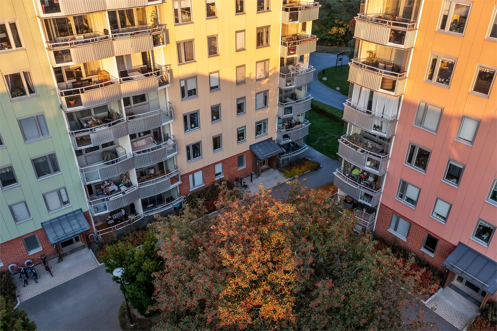 sön 11/10 – bild 32