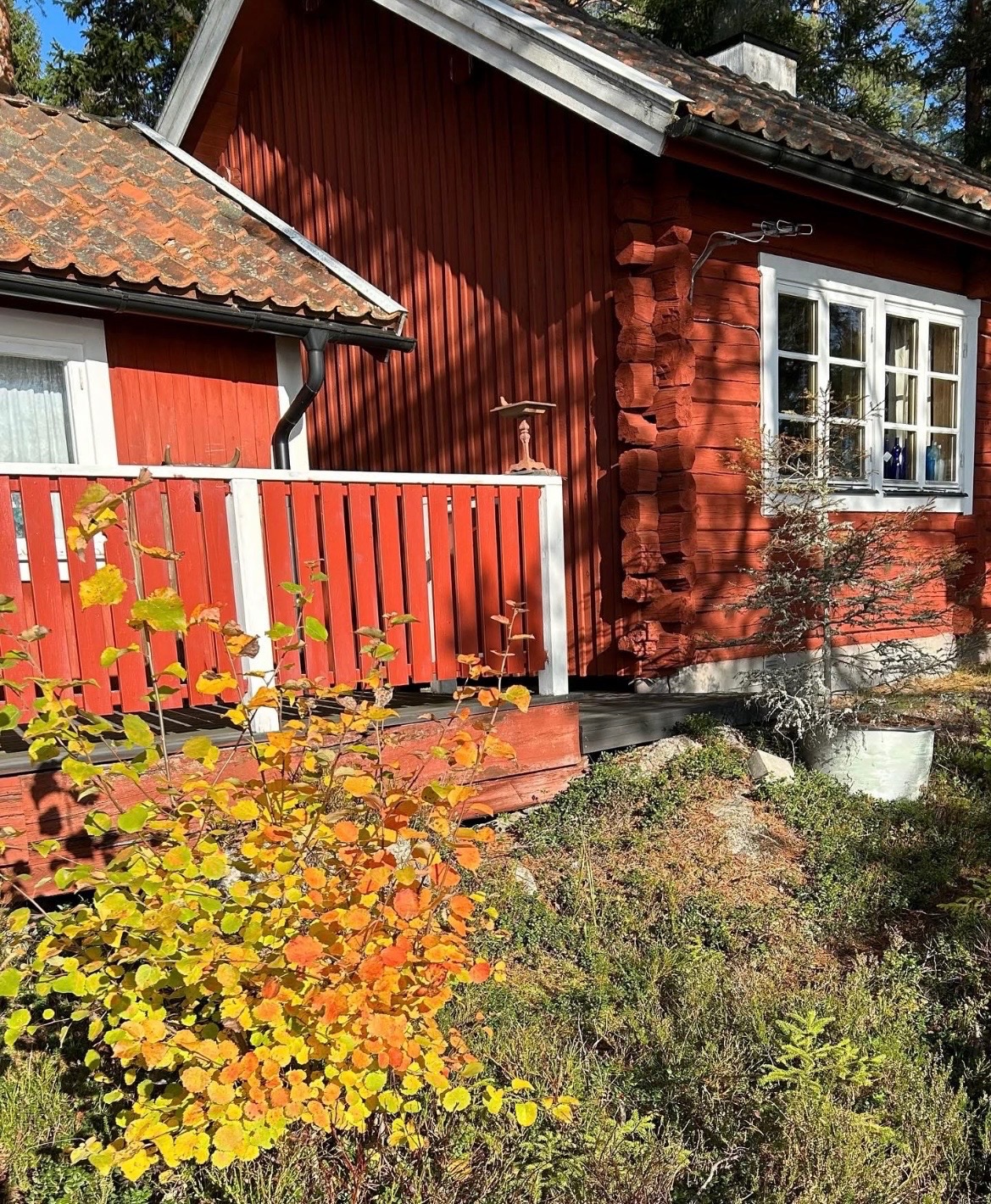 lör 10/10 – bild 58