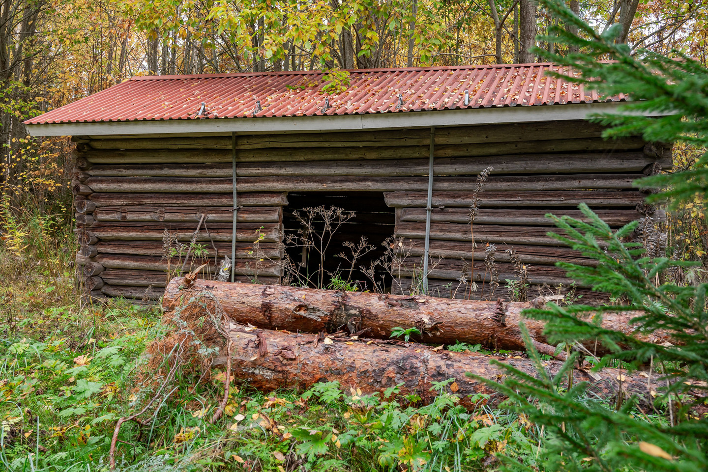 tis 10/11 – bild 27