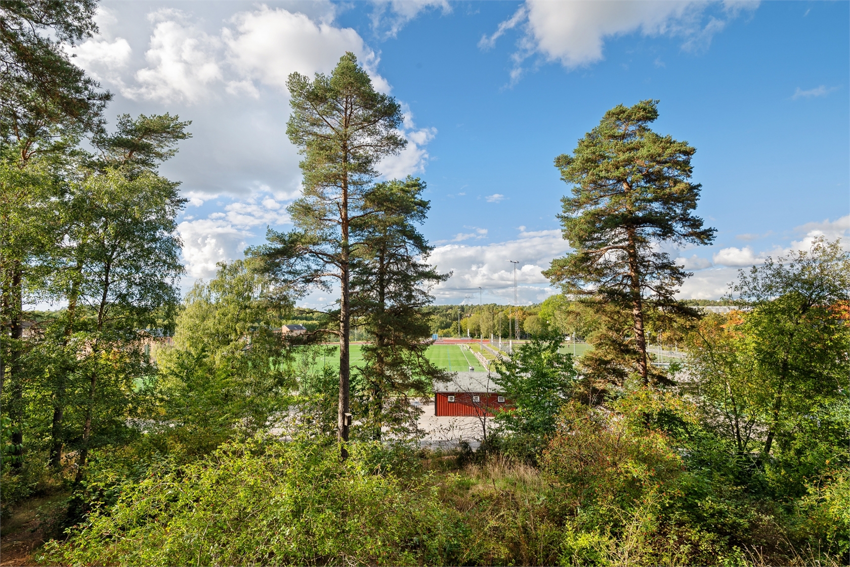 sön 11/10 – bild 15