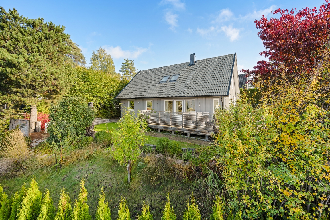 sön 1/11 – bild 5