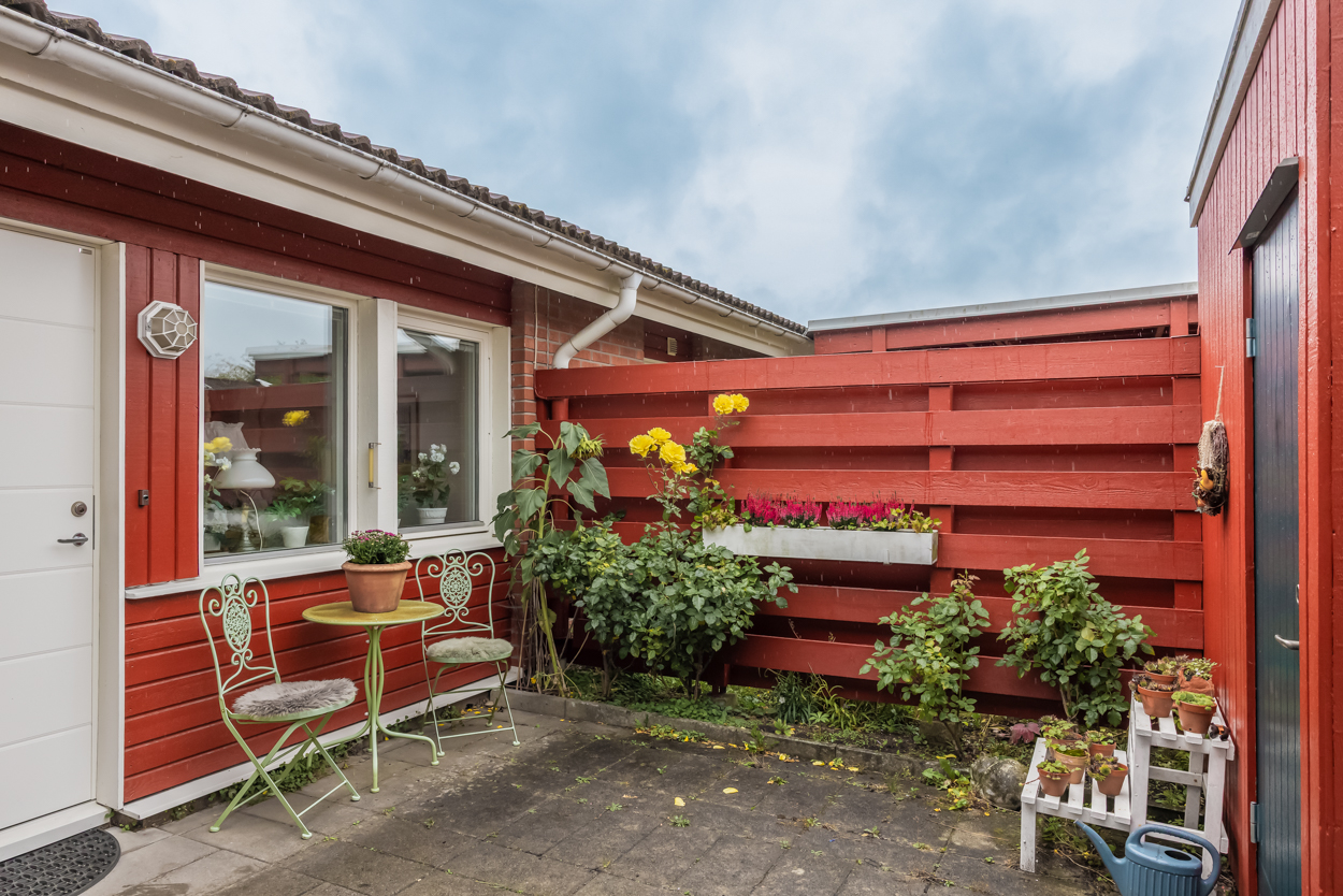 tors 29/10 – bild 24