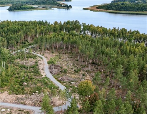 Uddaskogen 
