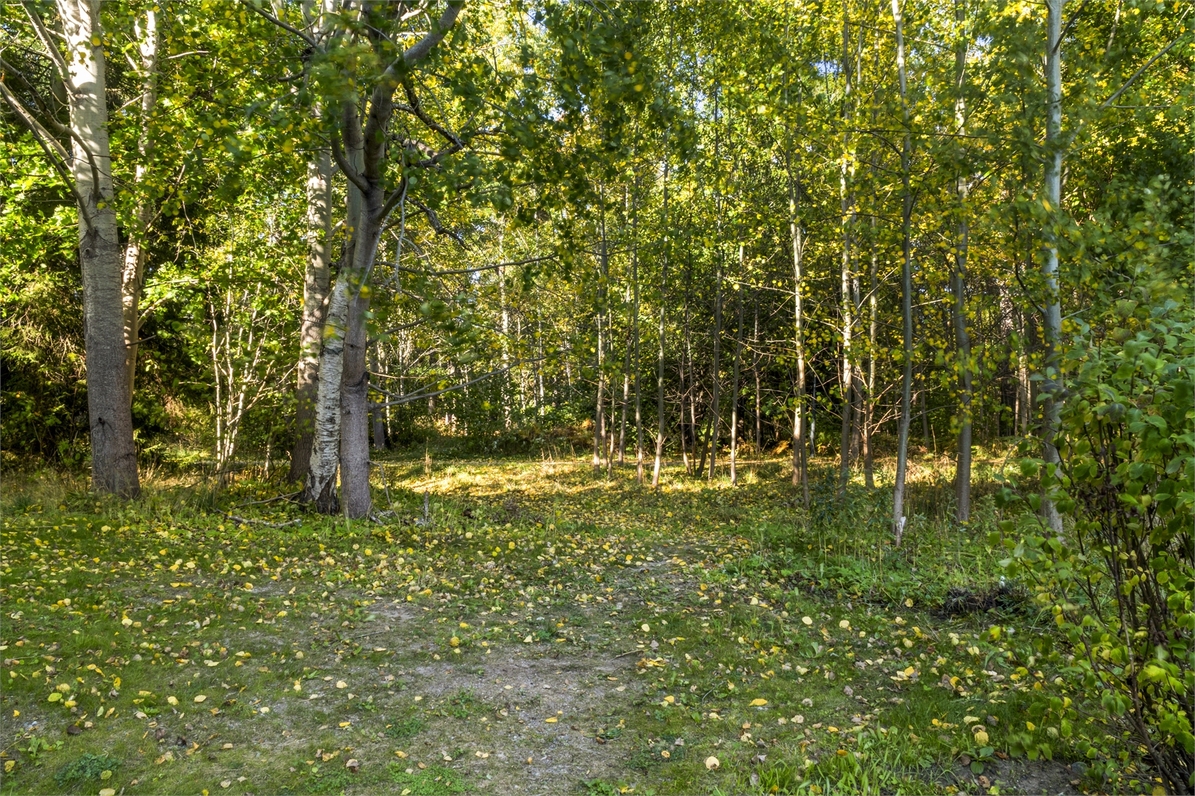 Budgivning pågår – bild 25