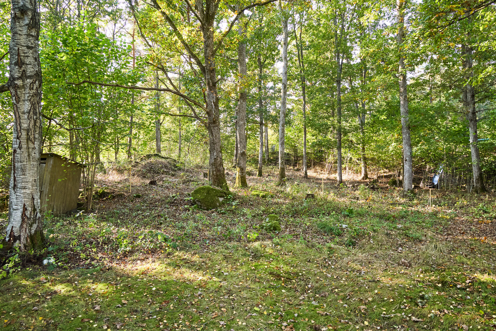 På gång – bild 3