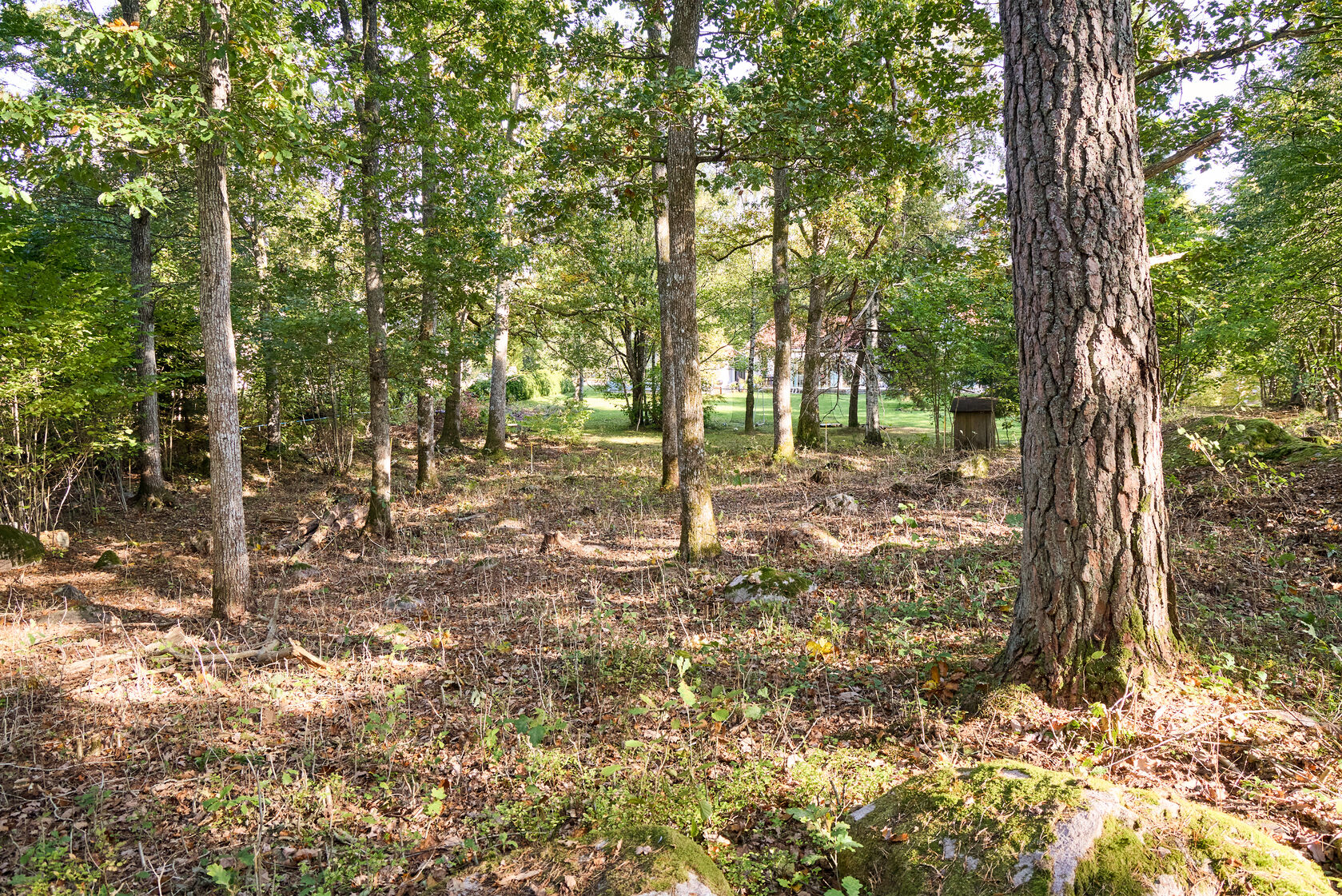 På gång – bild 4