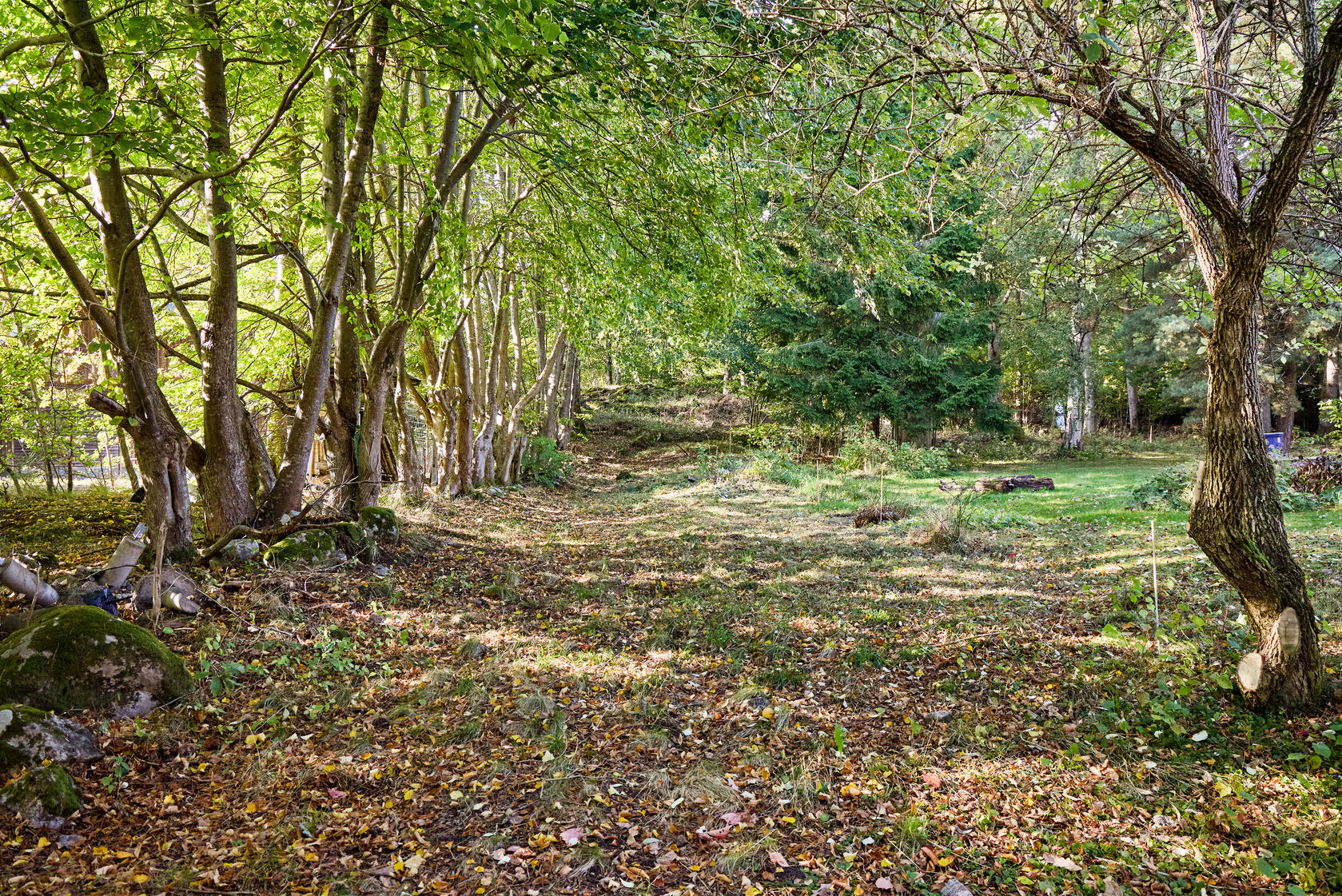 Land / plot