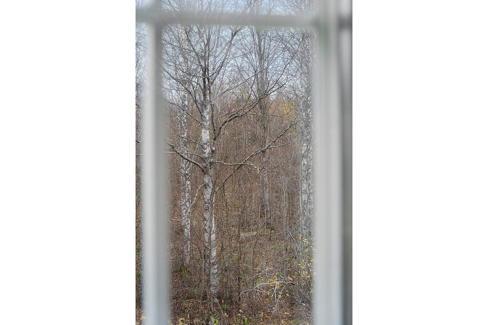 Se fler – bild 11