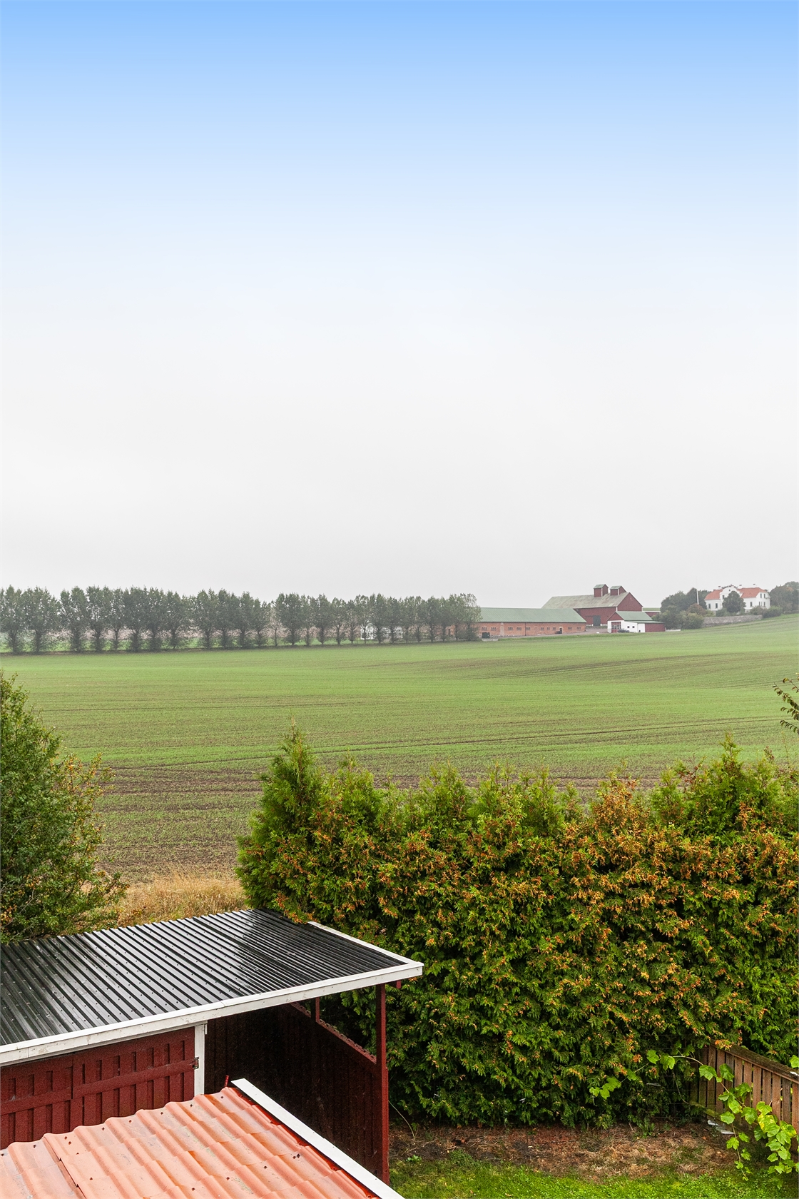 lör 17/10 – bild 24