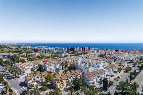 Mil Palmeras | Torrevieja