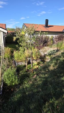 På gång – bild 41