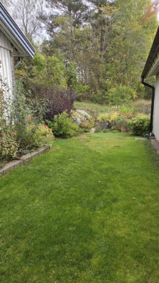 På gång – bild 42