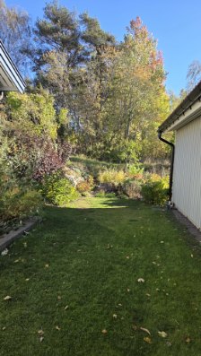På gång – bild 43