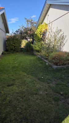 På gång – bild 44