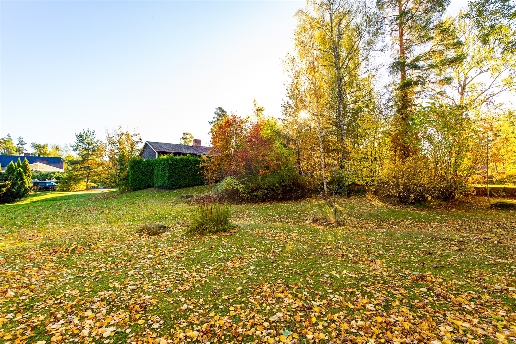 tis 20/10 – bild 5