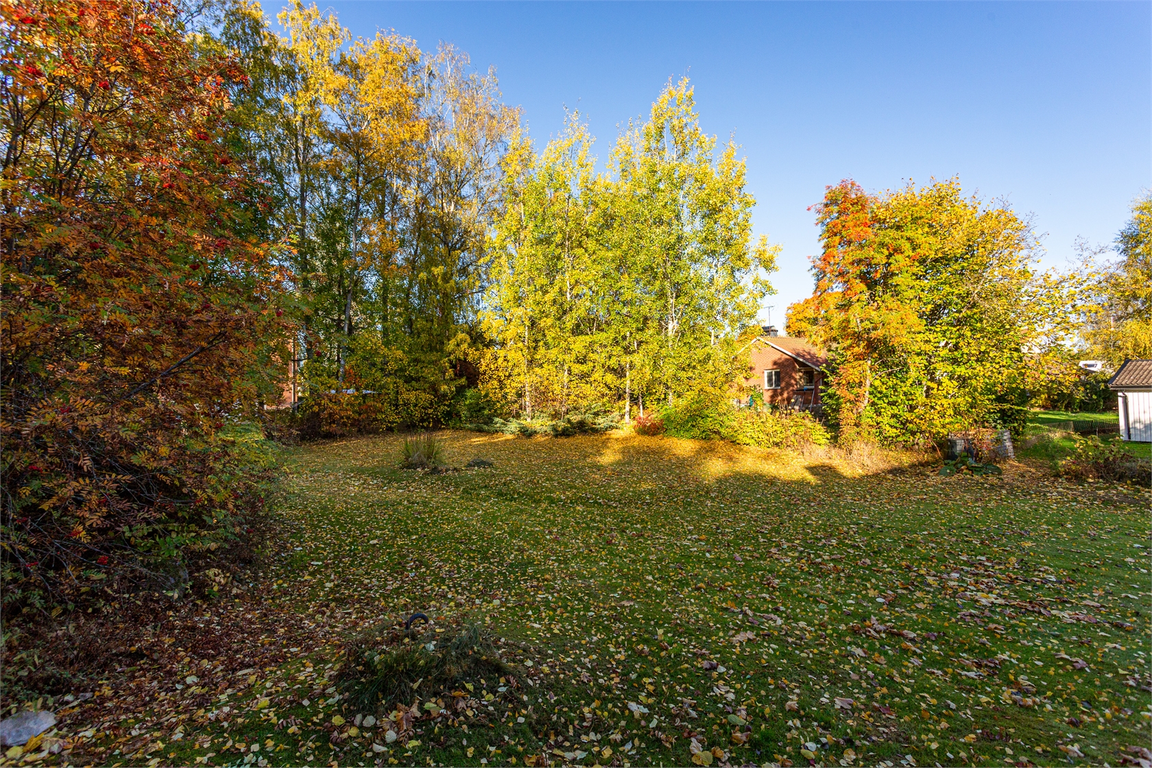 tis 20/10 – bild 29